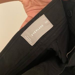 Everlane Way High Drape Pant